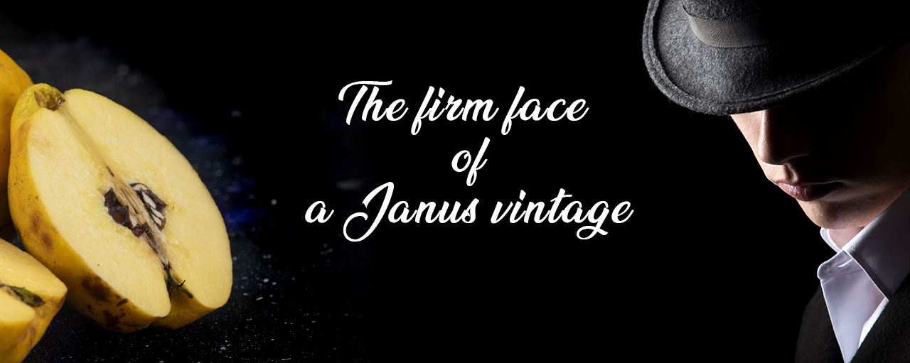 The firm face of a Janus vintage